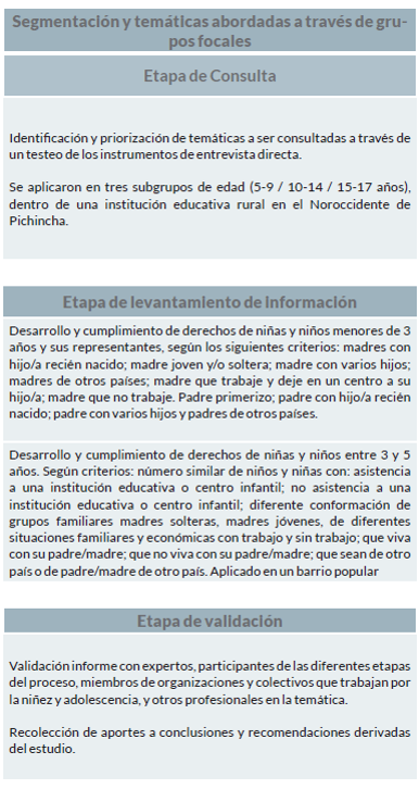 Segmentación y temáticas abordadas a través de grupos
			focales